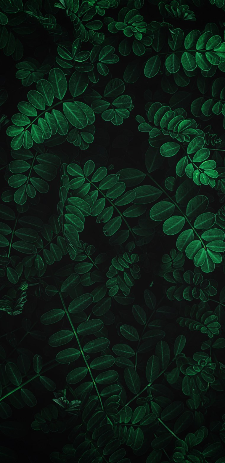 Айфон темно зеленый