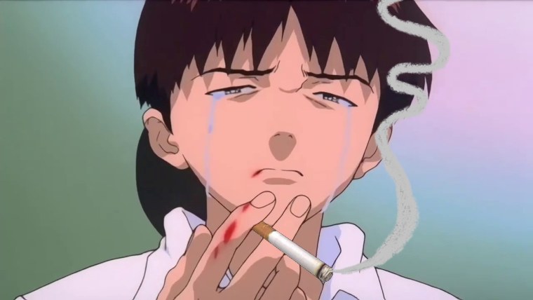 Синдзи Икари 1995