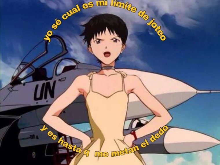 Синдзи Икари рыбий глаз