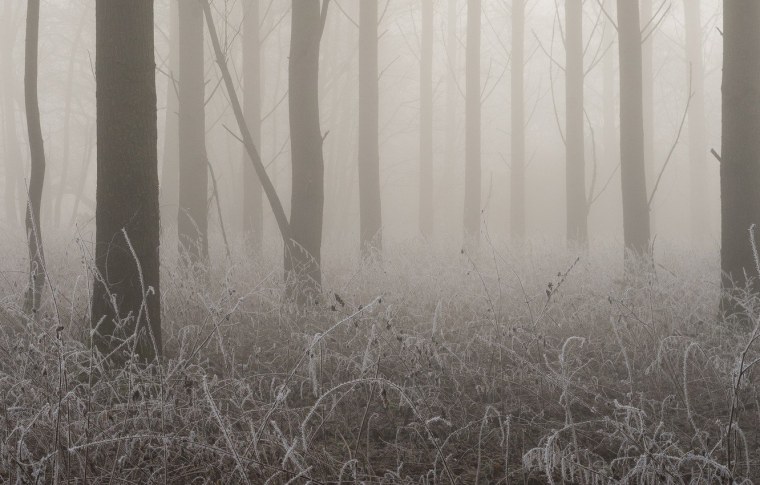 Серый туман