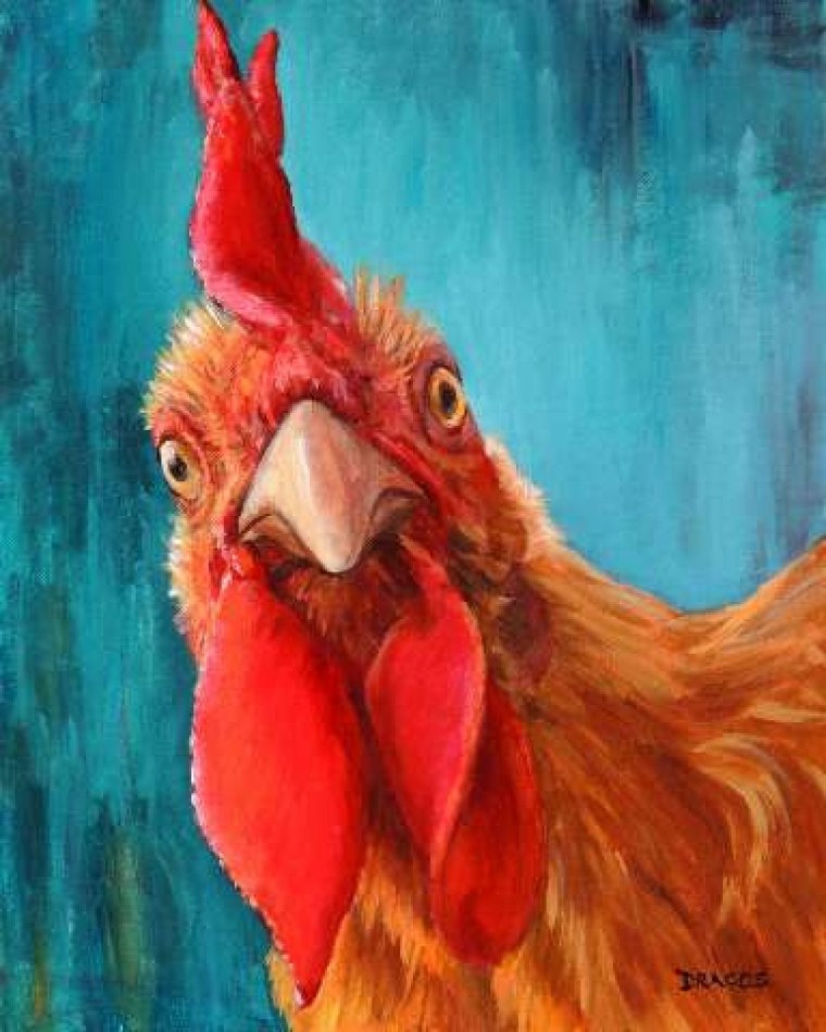 Крутой петух