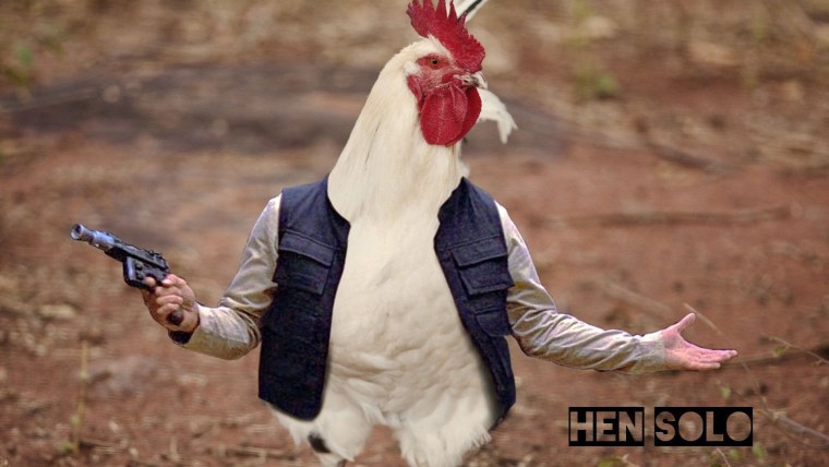 Петух Морис