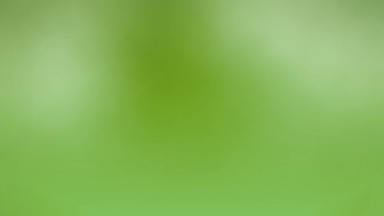 Зеленый лист бумаги