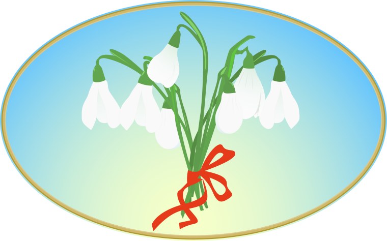 Море цветов ландышей