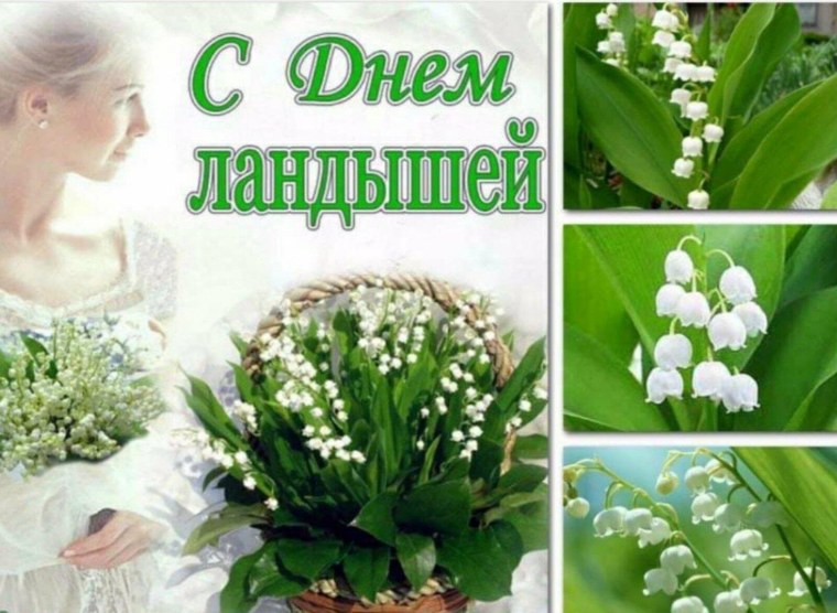 Серебристый Ландыш для логотипа