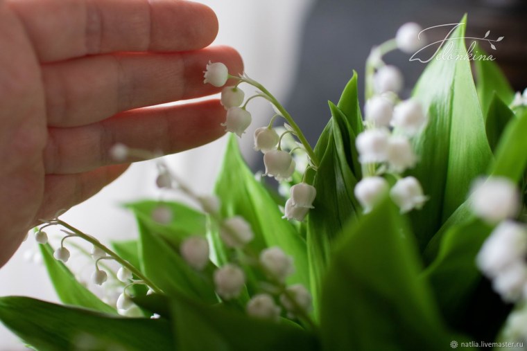 Обои на рабочий стол цветы Ландыши