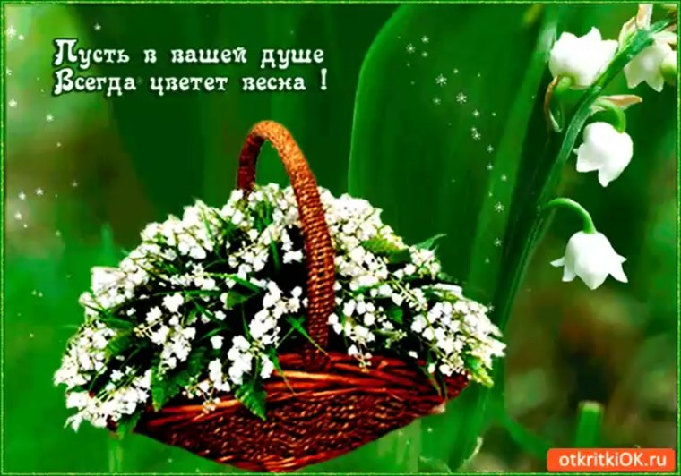 Ландыш серебристый цветок