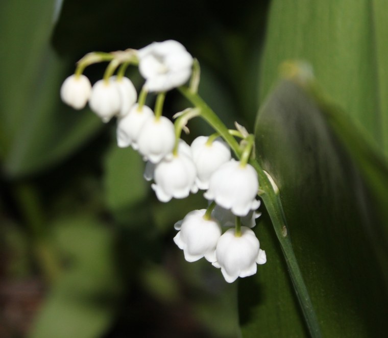 Валентина Рыжкова