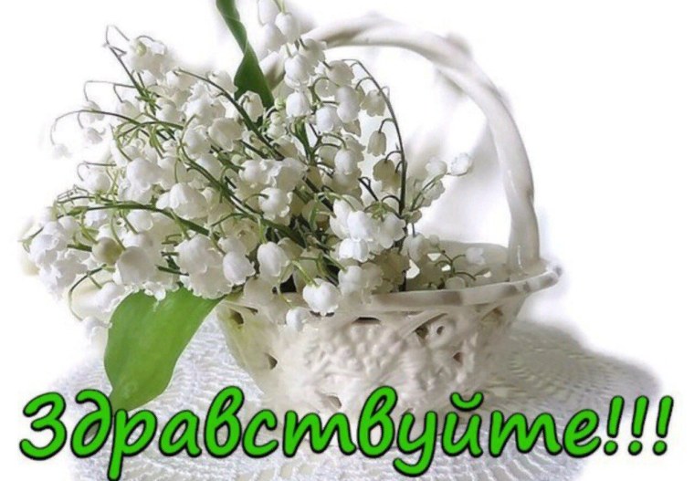 Ландыш макро рекламное фото