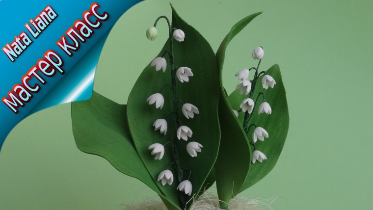 Подснежники на прозрачном фоне