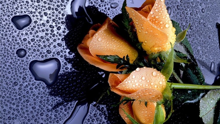 Красивые обои на рабочий стол