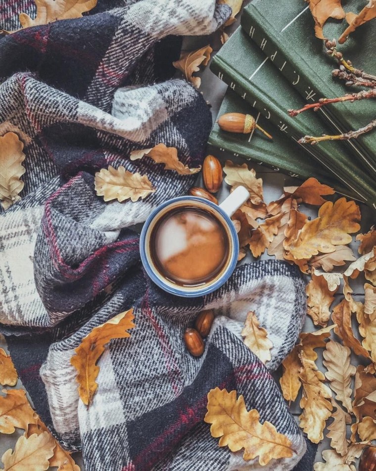 Осеннее утро Эстетика