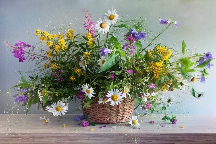 "Полевые цветы" Хайнц Шольнхаммер