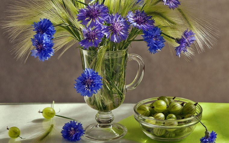 Натюрморт с васильками