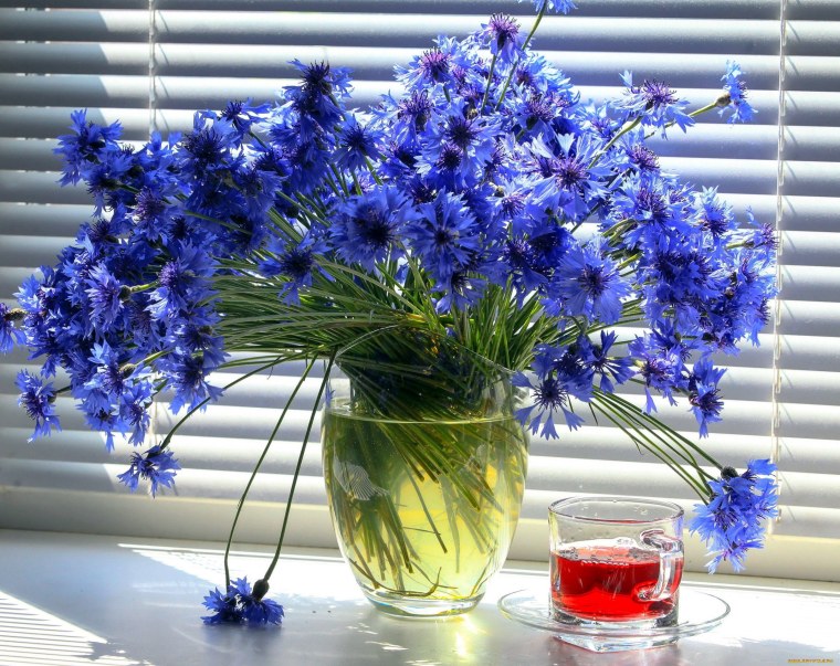 Васильковый букет