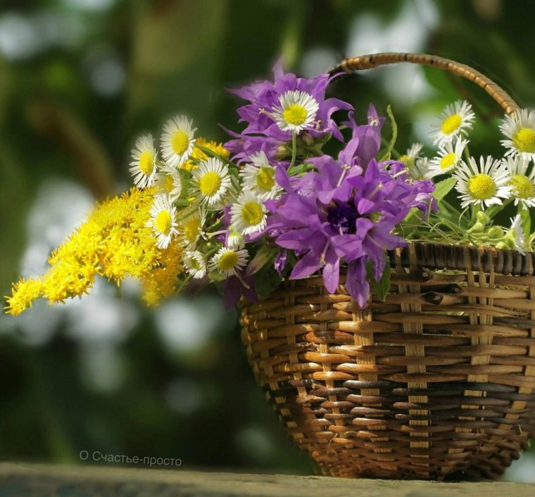 Полевые цветы в корзинке фиолетовой