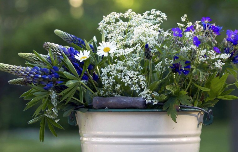 Букет полевых цветов