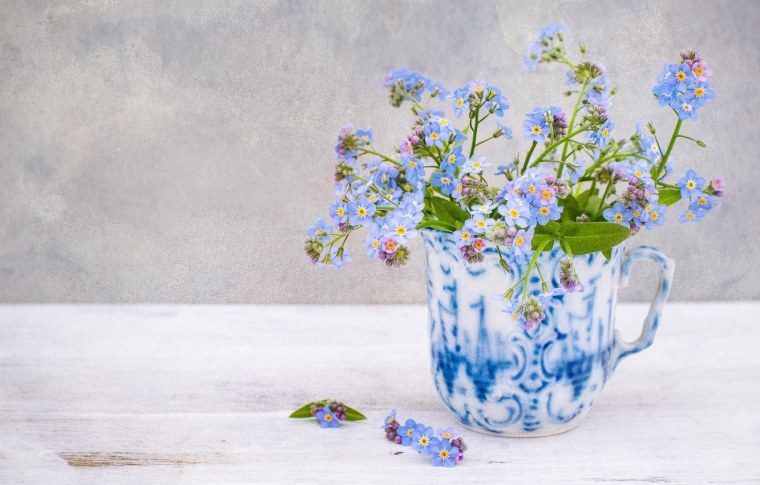Незабудки в вазочке