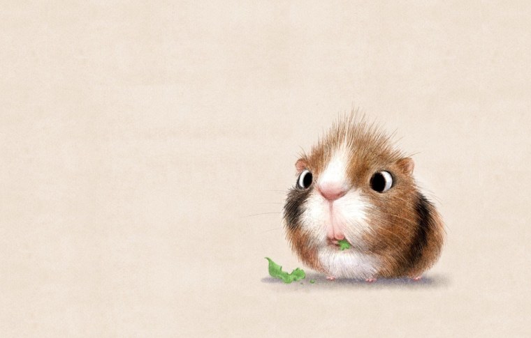 Милые зверьки