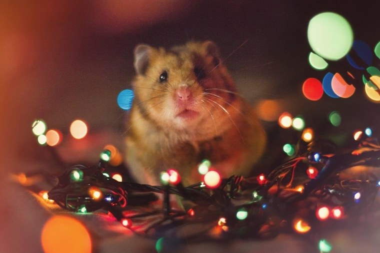 Самые милые рисунки