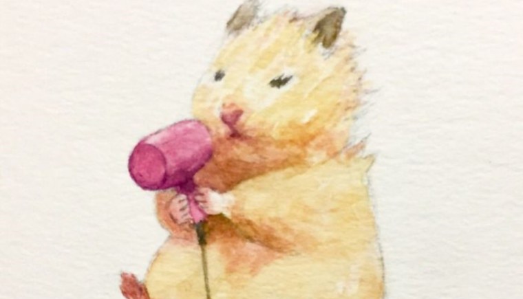 Хамтаро персонажи