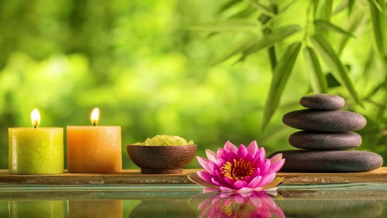 Лотос и камни