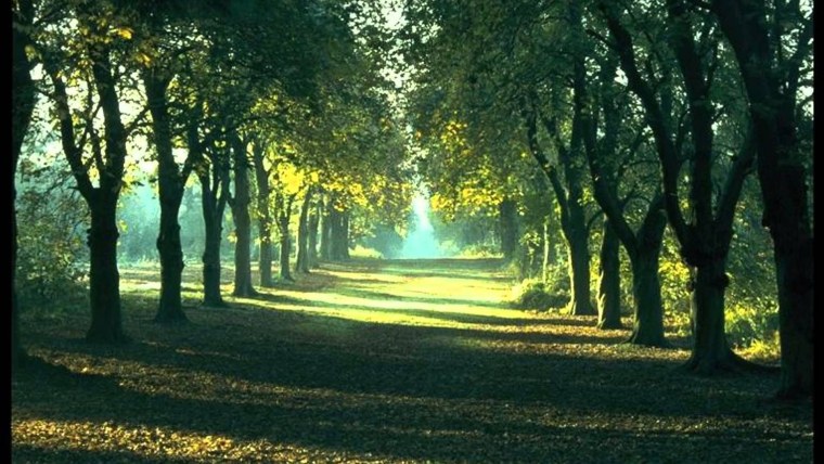 Красивые пейзажи для релаксации