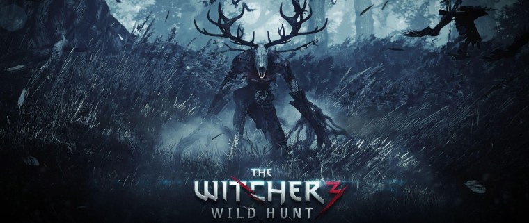 The Witcher 3 Wild Hunt Цирилла