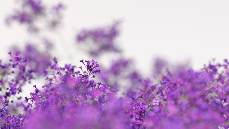 Обои аспект 30206-65