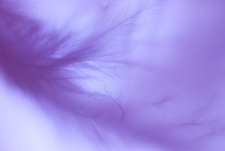 Яркий пурпурный цвет