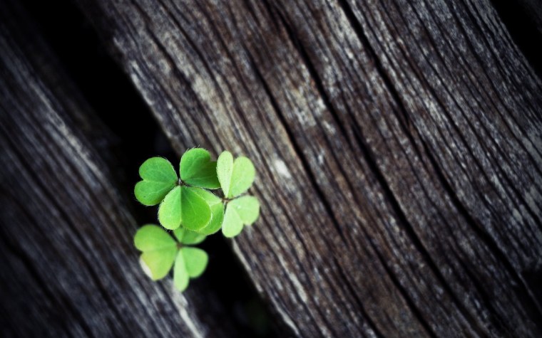 Заставка на рабочий стол на удачу