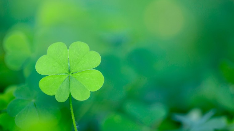 Четырехлистный Клевер на удачу