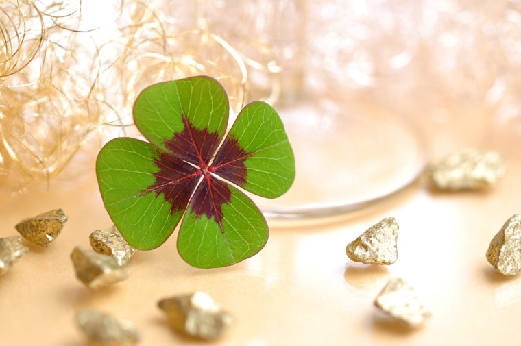 Четырёхлистный Клевер талисман