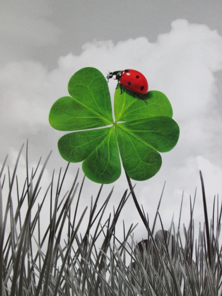 Зеленый фон Клевер