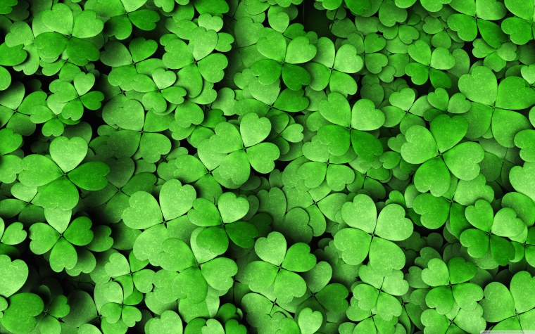 Ирландия Клевер четырехлистный