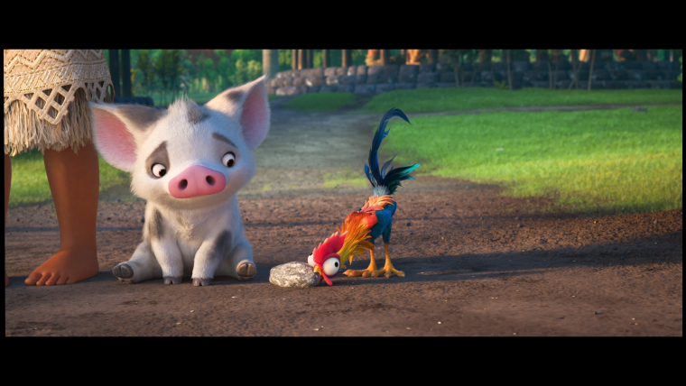 Курица из Моаны