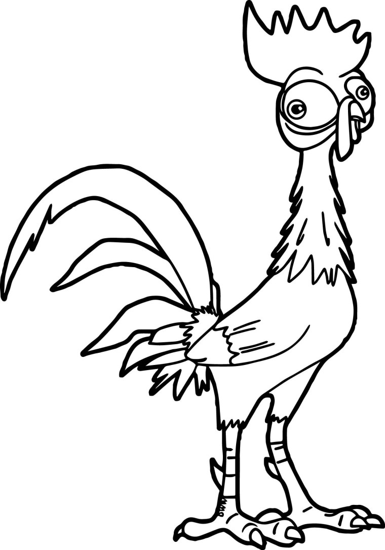 Моана курица