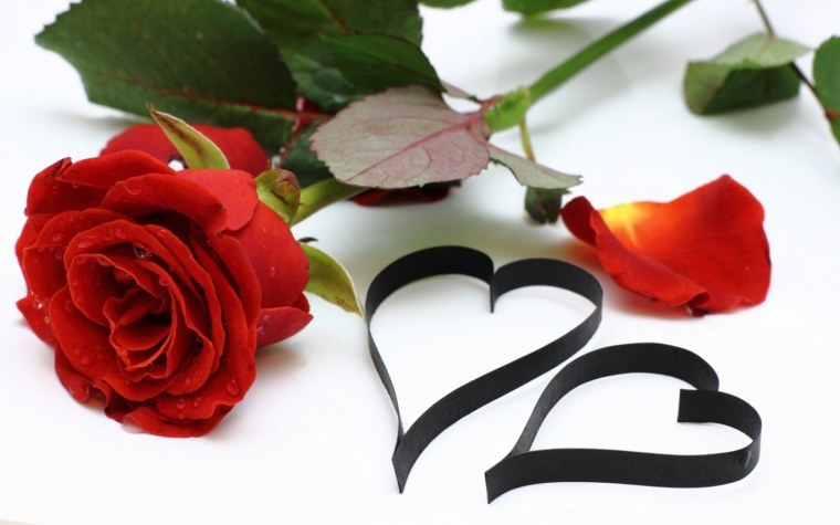 Красная роза в руке мужчины