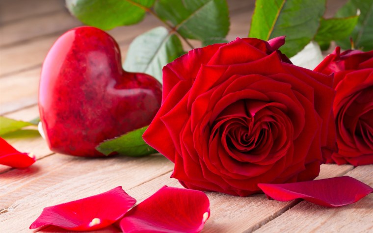 Красивые цветы и сердце