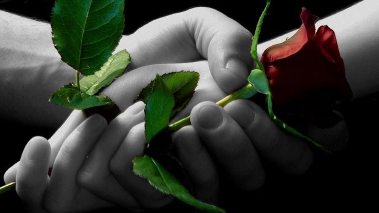 "Цветы любви"