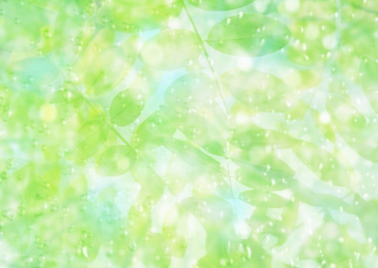 Салатовый фон