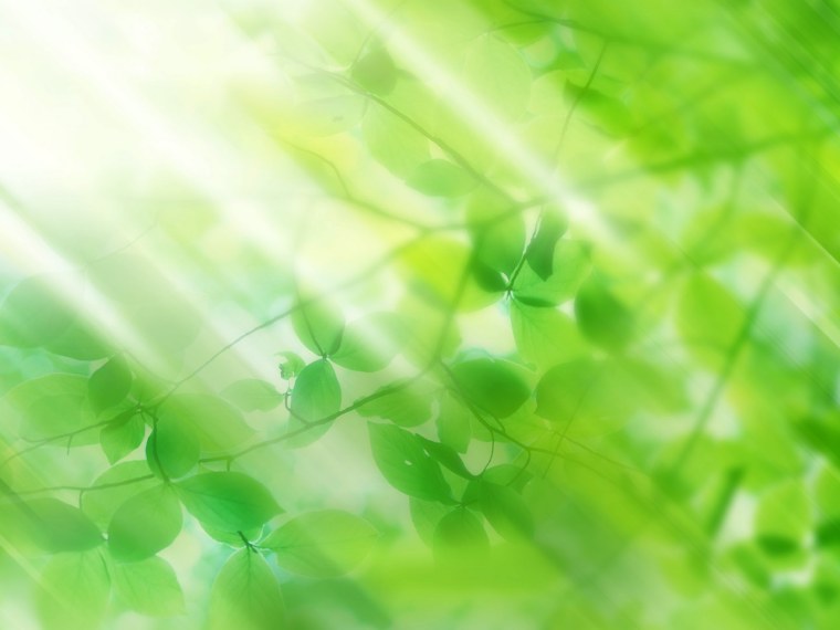 Светло зеленый фон для презентации