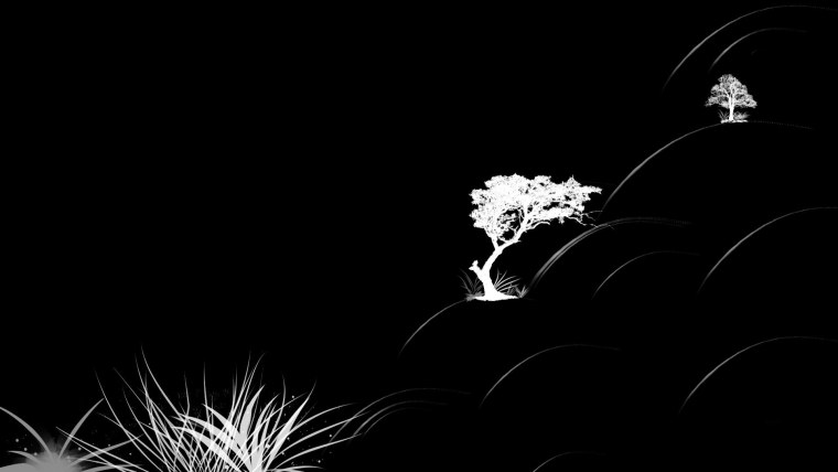 Обои на рабочий стол черно белые