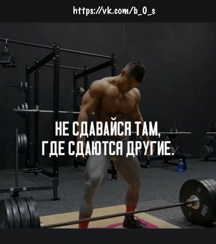 Спортивные цитаты