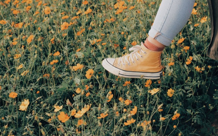 Летняя Эстетика