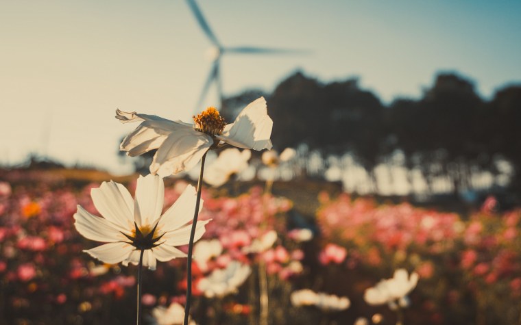 Июль Эстетика