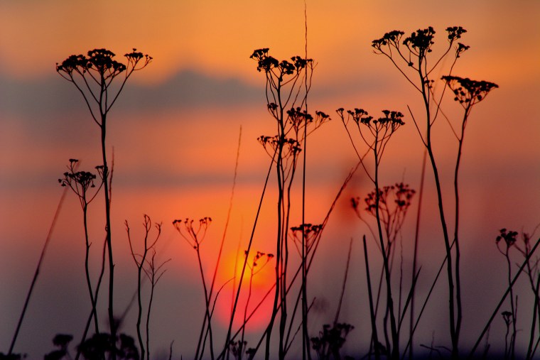 Надписи на зеленом фоне Эстетика
