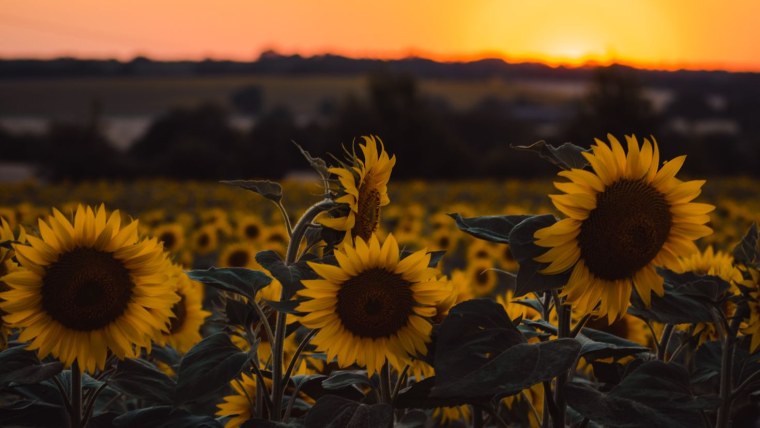 Чистая вода в бассейне