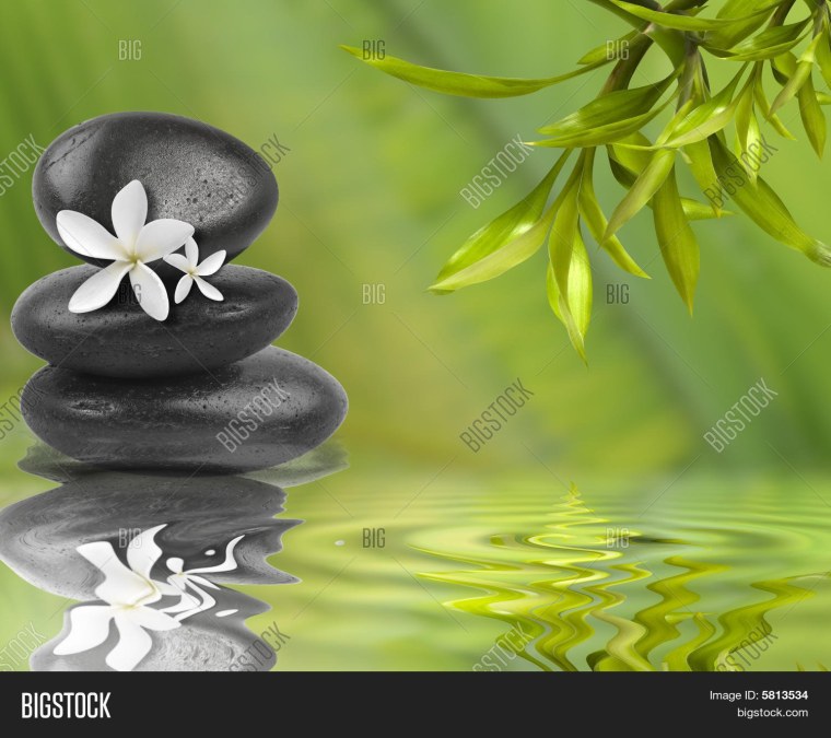 Цветок благополучия и богатства