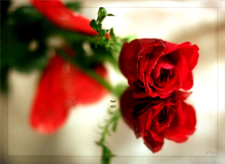 Цветы девушке со словами